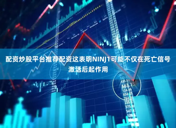 配资炒股平台推荐配资这表明NINJ1可能不仅在死亡信号激活后起作用