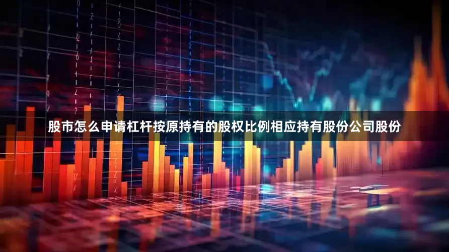 股市怎么申请杠杆按原持有的股权比例相应持有股份公司股份
