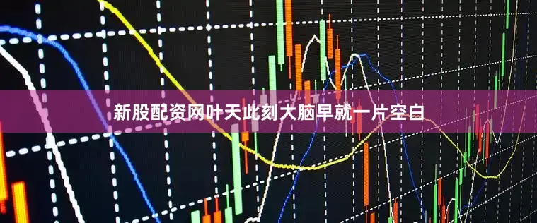 新股配资网叶天此刻大脑早就一片空白