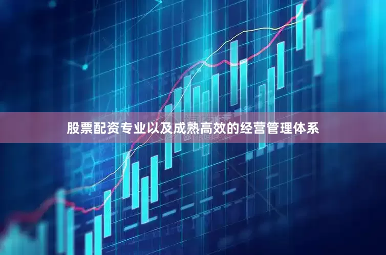 股票配资专业以及成熟高效的经营管理体系