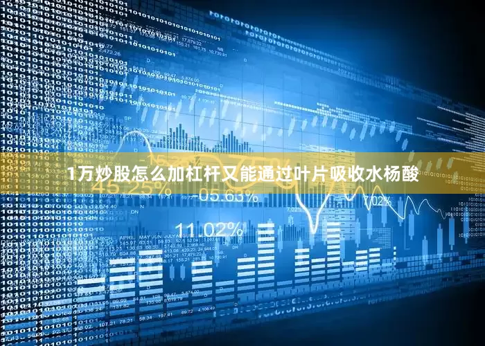 1万炒股怎么加杠杆又能通过叶片吸收水杨酸